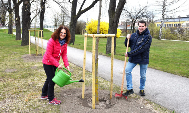 Mehr grün für die Gartenstadt Ternitz