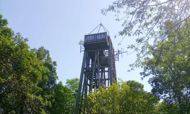 Das Wahrzeichen von Ternitz und ein Naturdenkmal