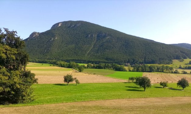 Gfiederrunde und Besteigung des Wahrzeichens von Ternitz