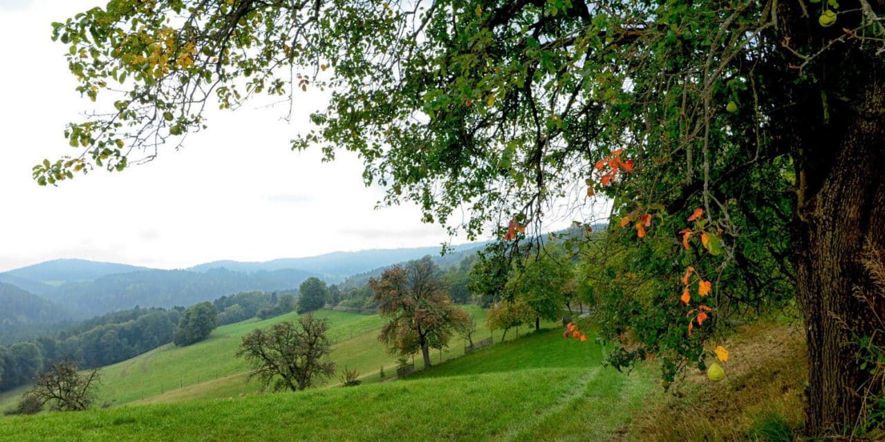 Eine Region voller Lieblingsplätze