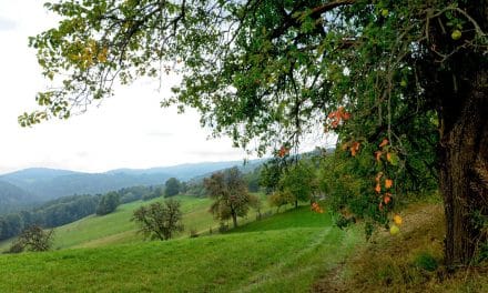 Eine Region voller Lieblingsplätze