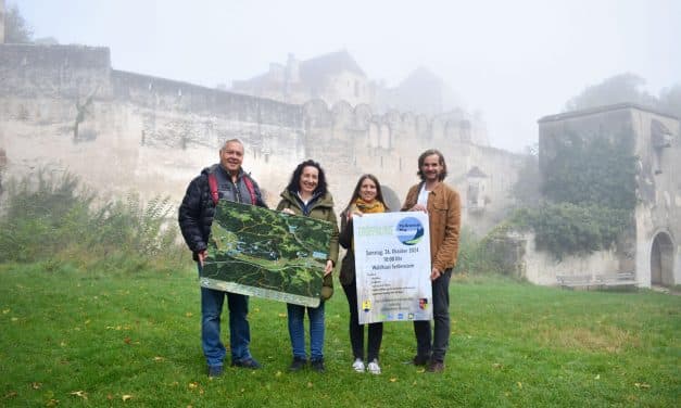 Ausflugs-Projekt: Meilensteine erwandern