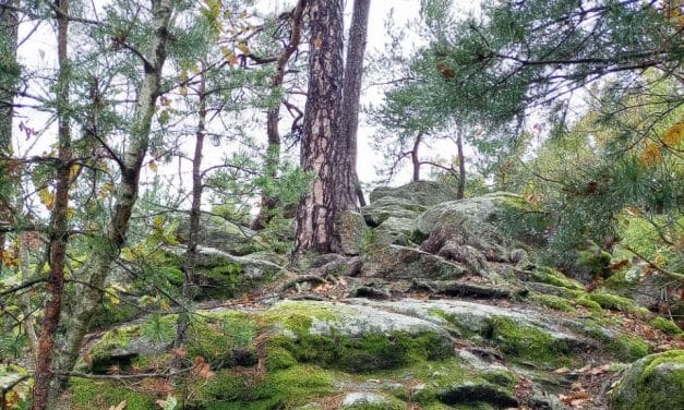 Der Radegundenstein bei Kirchschlag