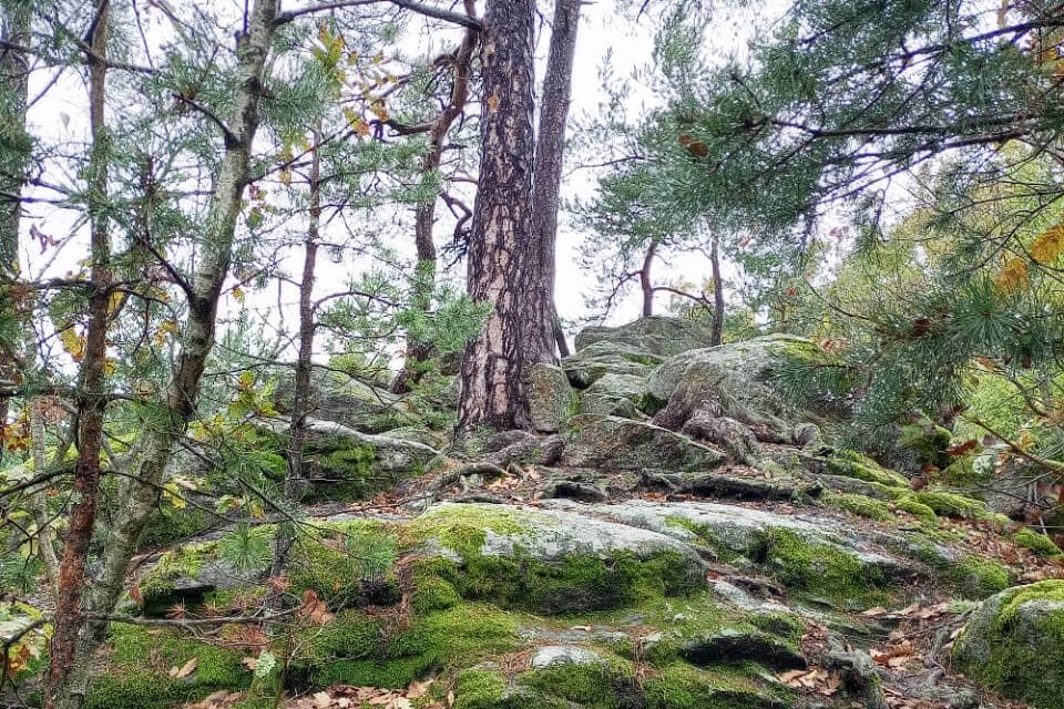 Der Radegundenstein bei Kirchschlag